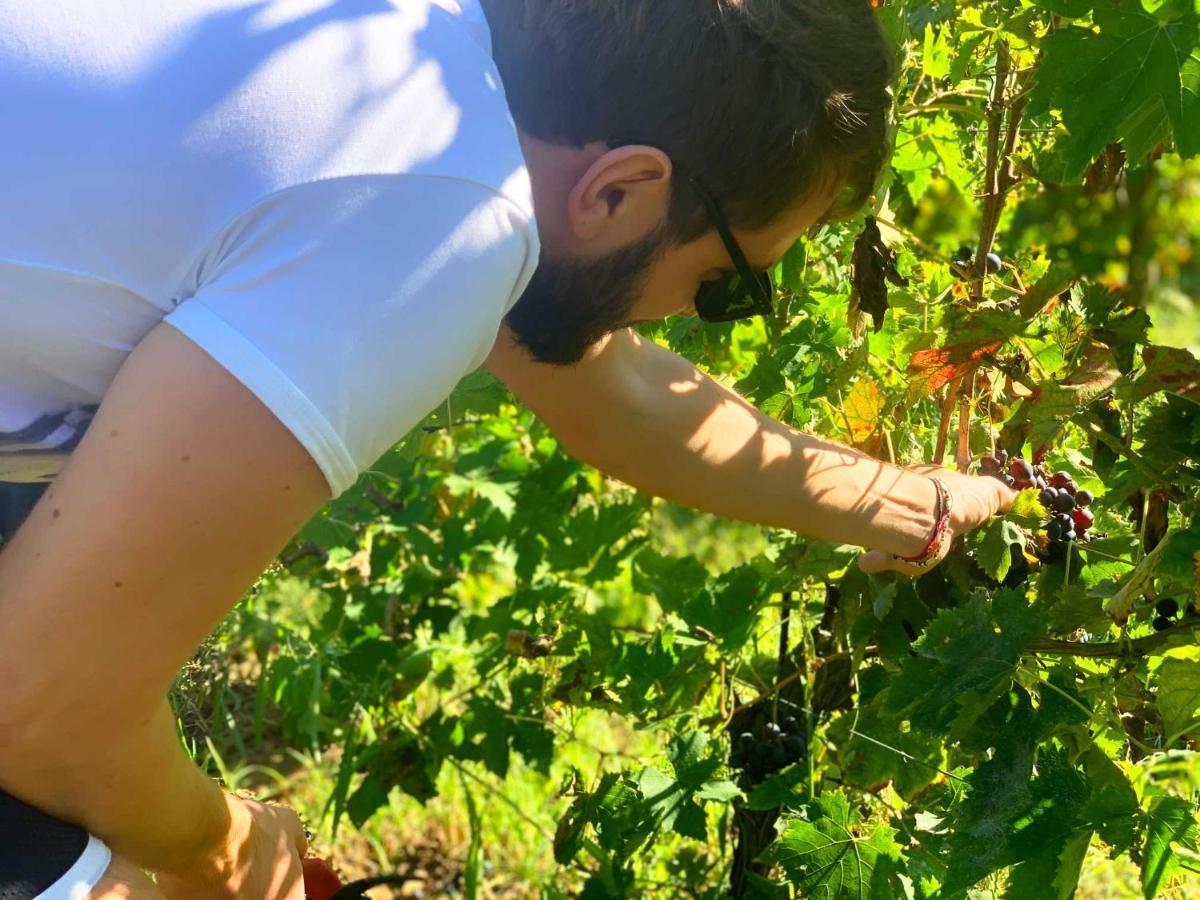 Agriturismo Biocore 2 - Colledoro Giulianova Εξωτερικό φωτογραφία
